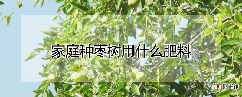 【枣树】家庭种枣树用什么肥料