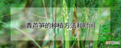 【种植】青芦笋的种植方法和时间
