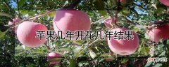 【开花】苹果几年开花几年结果