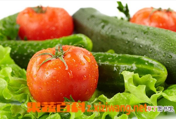 【西红柿】黄瓜和西红柿能一起吃吗