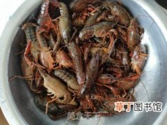 红烧小龙虾的做法步骤，鲜香味美的一道菜，不妨一试