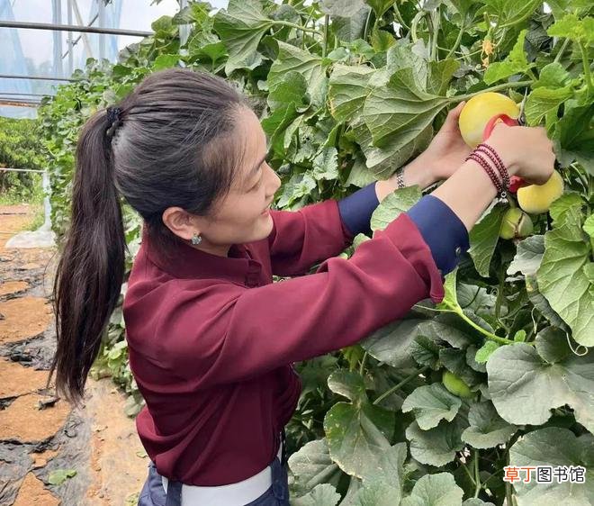 滕州：特色果品种植赋能乡村振兴