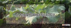 【红菜苔】北方红菜苔种植时间和方法