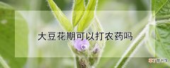 【花期】大豆花期可以打农药吗