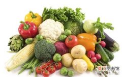【蔬菜】高前景有机蔬菜种植技术