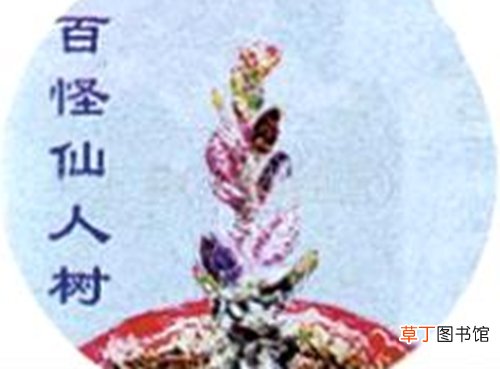 【奇花】奇花异草有哪些？中国的四大奇花异草是什么？