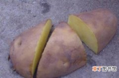 【马铃薯】马铃薯种薯如何进行切块和催芽？