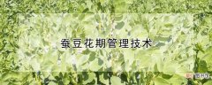 【花期】蚕豆花期管理技术