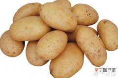 【有毒】土豆皮有毒吗？土豆发芽有毒吗？什么样的土豆有毒？