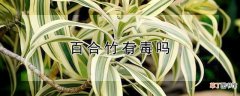 【有毒】百合竹有毒吗