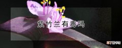 【有毒】紫竹兰有毒吗