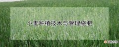 【种植】小麦种植技术与管理施肥