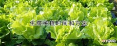 【方法】生菜种植时间和方法