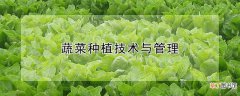 【种植】蔬菜种植技术与管理