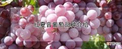 【品种】红夏音葡萄品种介绍