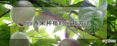 【香】百香果种植时间和方法