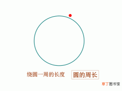在一个圆中，圆的周长是直径的多少倍 是半径的多少倍