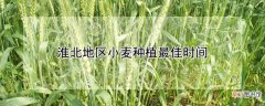 【种植】淮北地区小麦种植最佳时间