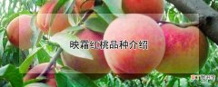 【品种】映霜红桃品种介绍