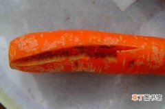 【胡萝卜】胡萝卜裂根怎么办？如何减少胡萝卜裂根？