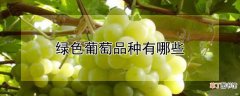 【品种】绿色葡萄品种有哪些
