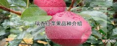 【苹果】瑞香红苹果品种介绍