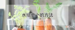 【萝卜】水培萝卜的方法