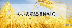 【播种】冬小麦最迟播种时间