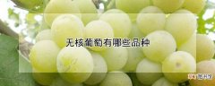 【品种】无核葡萄有哪些品种