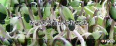 【黑豆】家庭黑豆苗的种植方法