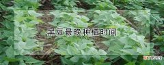 【种植】黑豆最晚种植时间