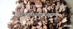 【松树】自然干枯的松树皮还要发酵吗