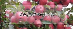 【苹果】红色之爱苹果品种介绍