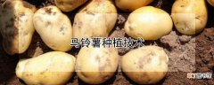 【种植】马铃薯种植技术