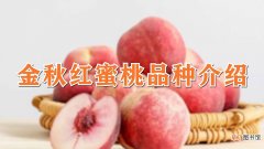 【品种】金秋红蜜桃品种介绍