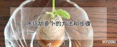 【胡萝卜】水培胡萝卜的方法和步骤