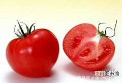 【西红柿】西红柿蔬果难分，身份尴尬