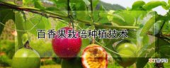 【香】百香果栽培种植技术