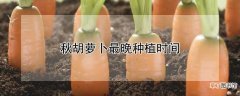 【萝卜】秋胡萝卜最晚种植时间