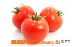 【营养】西红柿有哪些营养价值