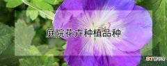 【花卉】庭院花卉种植品种