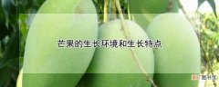 【生长】芒果的生长环境和生长特点