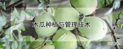 【种植】木瓜种植与管理技术