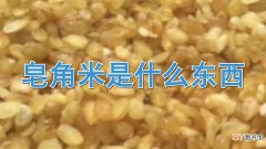【皂角米】皂角米是什么东西