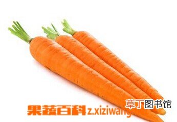 【美容】胡萝卜能美容吗 胡萝卜的美容功效