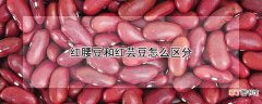 【花卉大全】红腰豆和红芸豆怎么区分