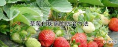【防治】草莓白斑病的防治方法