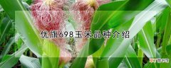 【品种】优旗698玉米品种介绍