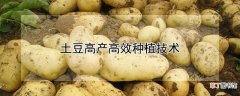 【高产】土豆高产高效种植技术