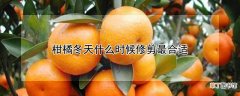 【修剪】柑橘冬天什么时候修剪最合适